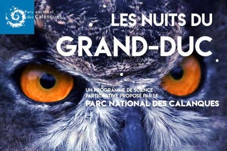 Les nuits du Grand-duc - Parc national des Calanques | Biodiversité | Scoop.it