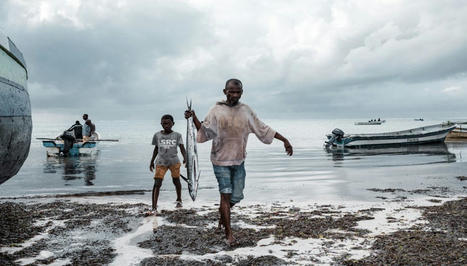 Climate change threatens food security of 65 nations | HALIEUTIQUE MER ET LITTORAL | Scoop.it