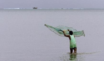 La sécurité alimentaire des îles du Pacifique menacée par le manque de poisson | Biodiversité | Scoop.it