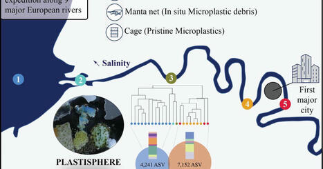 Water salinity cuts the risk of harmful bacteria riding on microplastics from freshwater to the sea. - European Commission | Gestion de l'eau | Scoop.it