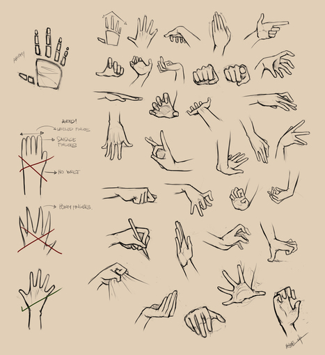 Hands Reference | Drawing References and Resources | Scoop.it