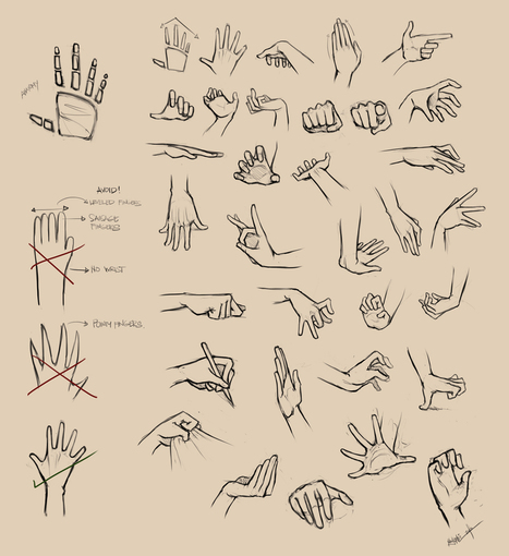 Hands Reference In Drawing References And Resources