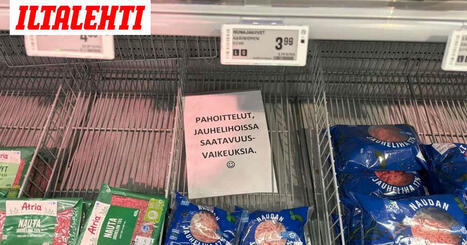 Nyt tuli kova jyrähdys jauhelihapulasta | 1Uutiset - Lukemisen tähden | Scoop.it