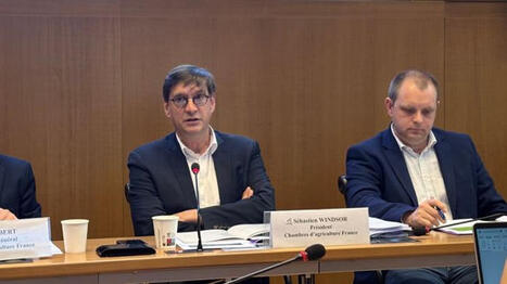 &laquo;&nbsp;Quand on est dans une crise, donner des perspectives, c&rsquo;est absolument vital&nbsp;&raquo; - Agri mutuel | Agriculture en Pays de la Loire | Scoop.it