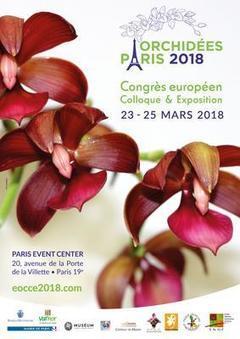 Histoire de plantes : les orchidées et la PMA | Les Colocs du jardin | Scoop.it