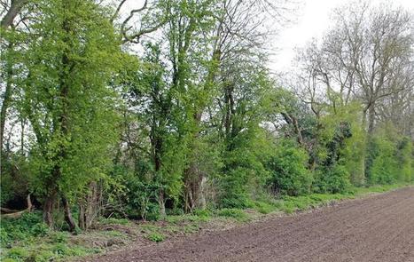 Biotex: Mesurer la biodiversité, du territoire à l’exploitation | Elevage et environnement | Scoop.it