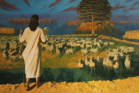 Minneapolis ICE shooting: Toxic empathy vs. the rule of law | Empathy Movement Magazine | Scoop.it