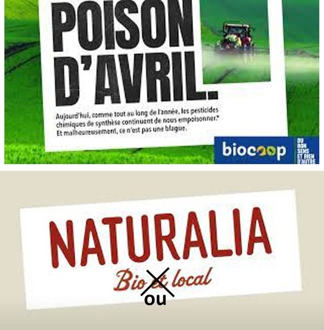 Après une année à – 8 %, Naturalia prend ses distances avec la bio | Lait de Normandie... et d'ailleurs | Scoop.it