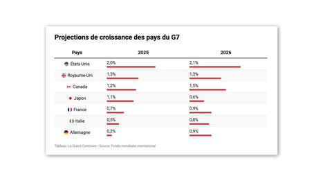 FMI : met en garde contre le risque de d&eacute;ceptions li&eacute;es &agrave; l'IA | INNOVATIONS | Scoop.it