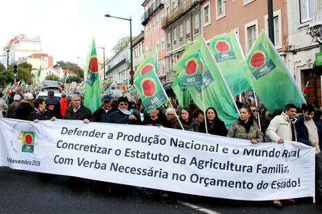 PORTUGAL : la CNA exhorte le gouvernement à réorienter la politique agricole vers la production nationale et la souveraineté alimentaire  | EUROPES | Scoop.it