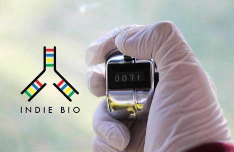 IndieBio Will Accelerate Synthetic Biology To Tech Startup Speed - Forbes | Complex Insight  - Understanding our world | Scoop.it