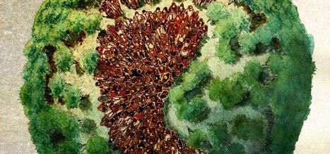 Mesurer l’empreinte environnementale | Veille Éducative - L'actualité de l'éducation en continu | Scoop.it