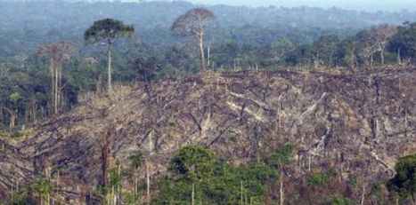Il faut désormais un "effort de guerre" pour sauver l'Amazonie | ON-ZeGreen | Scoop.it