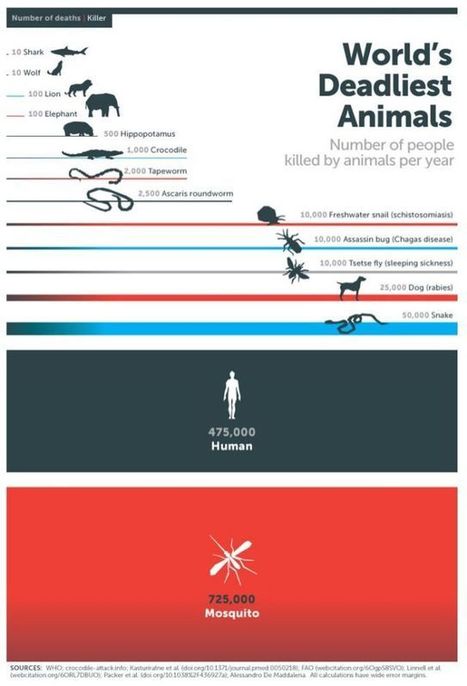 Le moustique tue plus les humains que n'importe quel autre animal | Variétés entomologiques | Scoop.it