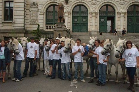 Spectacle &eacute;questre avec la compagnie Equus Arte, vendredi 18 , Sixt-sur-Aff 14/11/2011 - ouest-france.fr | Cheval et Nature | Scoop.it