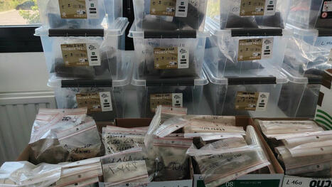 [Le Parisien] Plus que deux jours pour s’inscrire : à Toulouse, le CNRS Occitanie ouvre ses laboratoires avec des escape games | Les laboratoires du CNRS Occitanie Ouest dans la presse | Scoop.it
