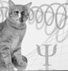 DNA can discern between two quantum states | Amazing Science | Scoop.it