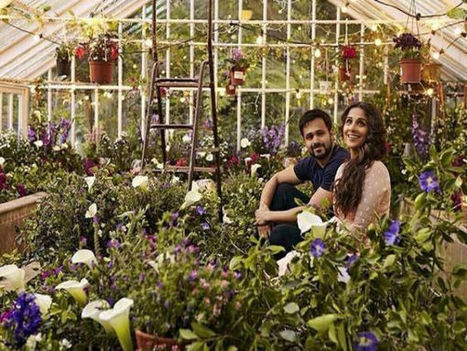 Hamari Adhuri Kahani Wednesday (6 Days) Box Office Collection | Bollywood Movies News | Scoop.it