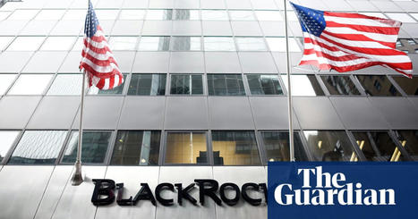 BlackRock urged to delay debt repayments from crisis-torn Zambia | Zambia | The Guardian | International Economics: IB Economics | Scoop.it