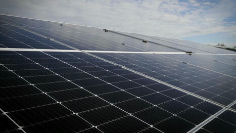 Une centrale solaire de dix hectares en projet à Courrières | rev3 - la 3ème révolution industrielle en Hauts-de-France | Scoop.it