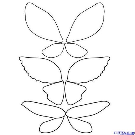 drawings of fairy wings