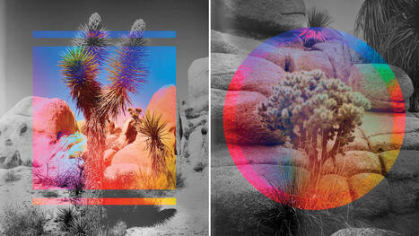 The Gen AI playbook for organizations | AI for All | Scoop.it