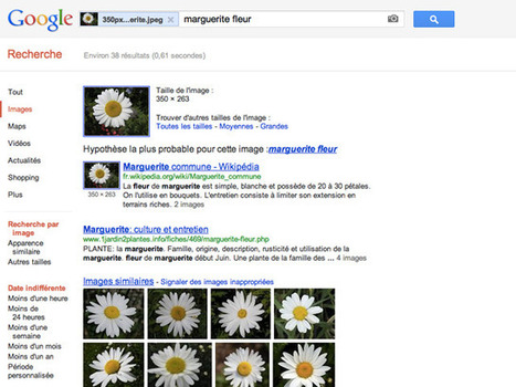 Google améliore sa recherche d’images | Geeks | Scoop.it