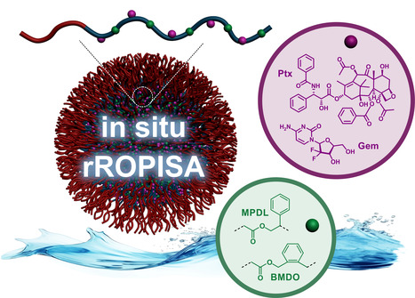 Des nanoparticules de prodrogues polymères préparées in situ directement dans l’eau | Life Sciences Université Paris-Saclay | Scoop.it