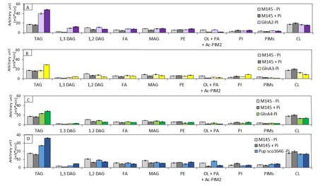 Impact of the Deletion of Genes of the Nitrogen Metabolism on Triacylglycerol, Cardiolipin and Actinorhodin Biosynthesis in Streptomyces coelicolor. | I2BC Paris-Saclay | Scoop.it