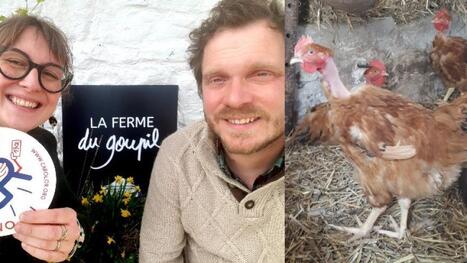 Cocorico à Vellereille (Estinnes) : les poulets Cou-nu de Céline et Benoit, parmi les meilleurs du Hainaut ! | Ecodéveloppement territorial | Scoop.it