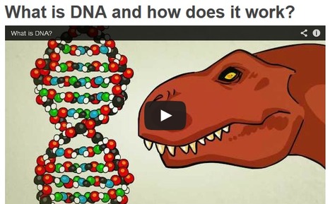 4 Great Science Videos - What is Evolution? DNA? Natural Selection? A Gene? | Eclectic Technology | Scoop.it