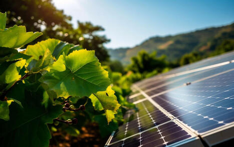Agrivolta&iuml;sme : suppression de l'obligation d'audition du porteur de projet devant la CDPENAF (loi n&deg;2026-403 du 26 mai 2026 de simplification de la vie &eacute;conomique) | Loi de simplification de la vie &eacute;conomique (n&deg; 2026-403 du 26 05 2026) - Commentaires | Scoop.it