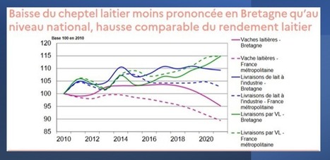 « Chaque jour en Bretagne nous perdons 110 vaches » | Lait de Normandie... et d'ailleurs | Scoop.it