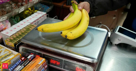 BANANAS: Why they may soon be a luxury in America | ALIMENTATIONS | Scoop.it