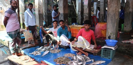 Coronavirus: how lockdown exposed food insecurity in a small Bangladeshi city | Stage 5 Sustainable Biomes | Scoop.it