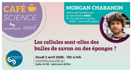 Caf&eacute; Science le 2 avril 2026 - Morgan Chabanon | Life Sciences Universit&eacute; Paris-Saclay | Scoop.it