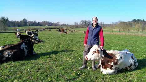 Velages groupes d&rsquo;automne : de multiples atouts &agrave; bien penser - Civam | Pour innover en agriculture | Scoop.it