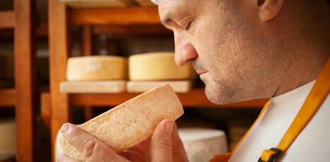 FRANCE : Faire du fromage en ville, c'est possible | CIHEAM Press Review | Scoop.it