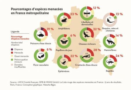 2 430 espèces menacées d'extinction en France | EntomoNews | Scoop.it