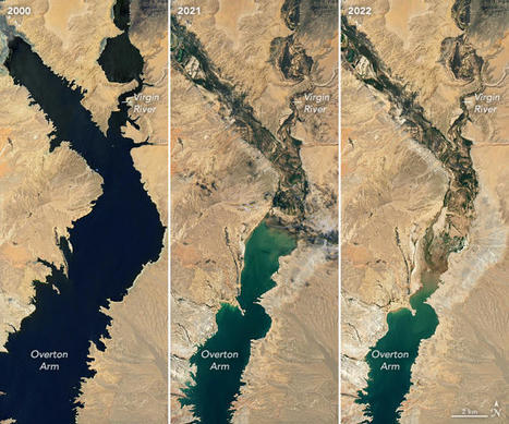 Lake Mead Keeps Dropping | Stage 4 Water in the World | Scoop.it