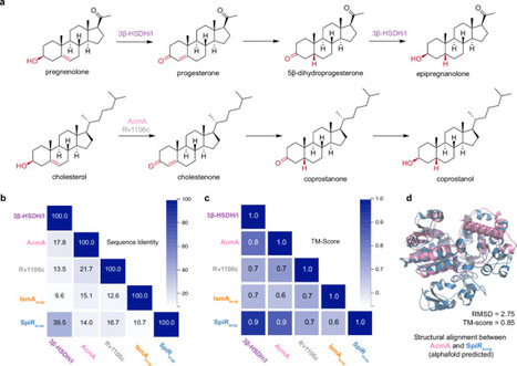 SpiR is a gut microbial enzyme that drives cholesterol conversion | Ncm | RMH | Scoop.it