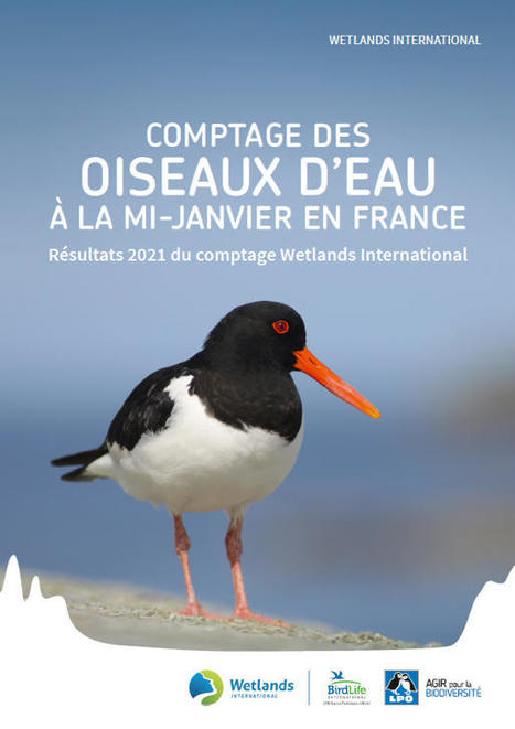 Synthèse Wetlands 2021 : Résultats du comptage annuel des oiseaux d’eau en France | Biodiversité | Scoop.it