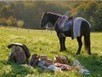 Id&eacute;es de randonn&eacute;e avec Visorando | Cheval et Nature | Scoop.it