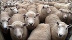Climate 'raising UK disease risk' | MOVUS  Movement for a Sustainable Uruguay | Scoop.it