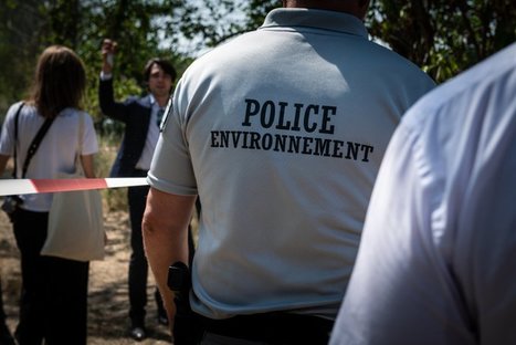 Quelles interventions pendant le confinement ? | COVID-19 : Le Jour d'après et la biodiversité | Scoop.it