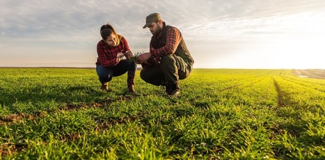 Des tiers-lieux pour aider les néo-paysans à se lancer | FRUITS ET LÉGUMES | Scoop.it