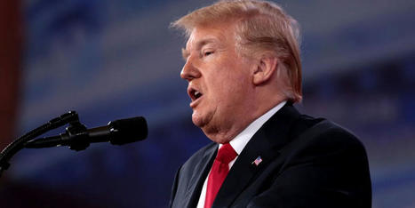 Trump lawyer abruptly leaves his defense team - RawStory.com | Backstabber Watch | Scoop.it