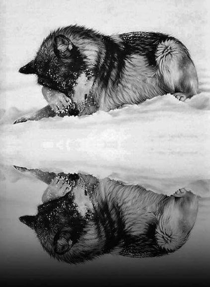 Valko | Name News | Scoop.it