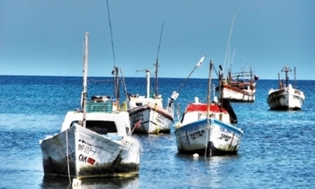 Maroc : les exportations des produits de la mer en manque de diversification | CIHEAM Press Review | Scoop.it