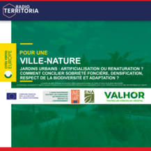 Jardins urbains : artificialisation ou renaturation ?  | Radio Territoria | La SELECTION du Web | CAUE des Vosges - www.caue88.com | Scoop.it